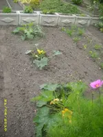 Garten 014.webp