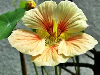 DSC07359.webp