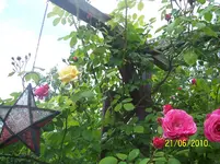 100_2534.webp