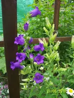 100_2540.webp