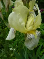 P1020043.webp