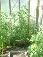 Garten 016.webp