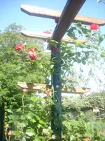 Garten 010.webp
