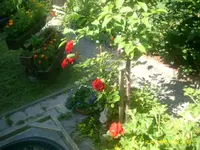 Garten 028.webp