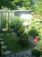 Garten 031.webp
