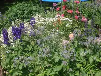 22.06.2010 015.webp
