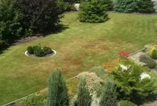 Foto1.webp
