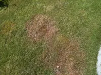 Foto4.webp