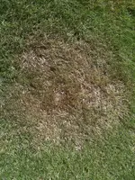 Foto5.webp