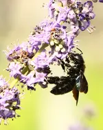 IMG_3005.webp
