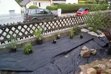 Juni2010 008.webp