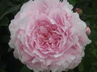 023.webp