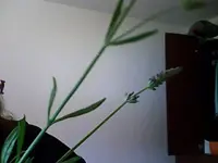Snapshot_20100622_5.webp