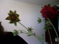 Snapshot_20100622_1.webp