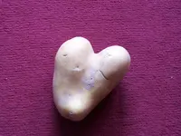 100_2410.jpg