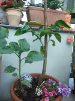 DSCF0901.webp