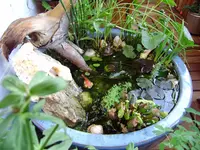 balkon_juni 015.webp