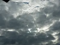 P1040215.webp