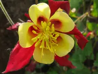 IMG_6393_1024x768.webp