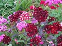 IMG_6396_1024x768.webp