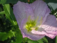 IMG_6400_1024x768.webp