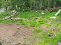 IMGP3339.webp
