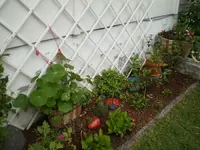 gemischtes_beet.webp