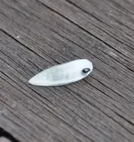 fliegenkäfer.webp