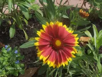 HPIM4804.webp