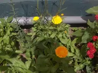 HPIM4799.webp