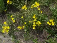 HPIM4797.webp
