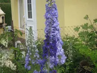012.webp
