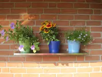 002.webp