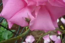 DSC03083.webp