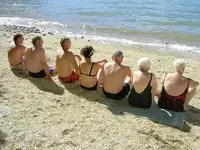 Wie die Huehner auf der Stange....webp