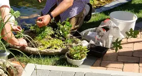 bepflanzen.webp