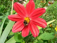 2009_07_26 15_57_24.webp