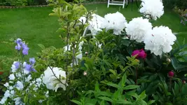 K800_24.6 022.webp