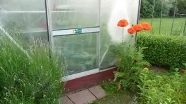 K800_24.6 026.webp