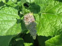 IMG_6459_1024x768.webp