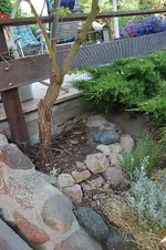Rosen_Problem_02.webp