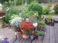 24.06.2010 007.webp