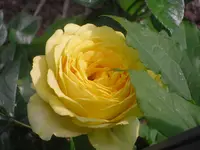 24.06.2010 027.webp
