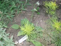 24.06.2010 030.webp