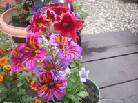 24.06.2010 001.webp