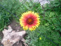 24.06.2010 008.webp