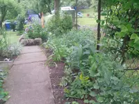 24.06.2010 013.webp