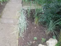 24.06.2010 015.webp