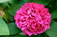 24.06.2010_3.webp