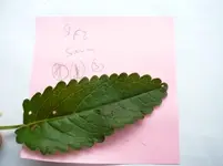 Bild 1.webp